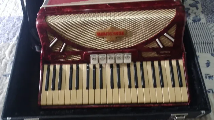 Acordeon Todeschini ( gaita)