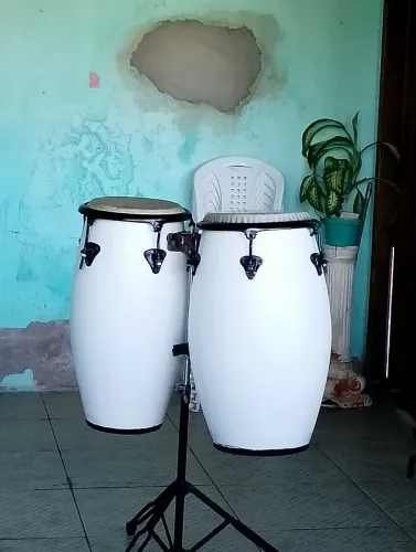 Conga Raul 