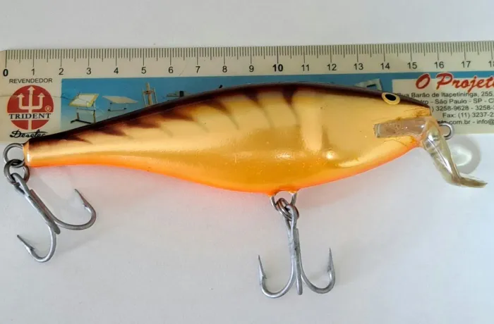 Isca Rapala 