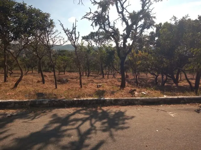 Terreno à venda, 1384 m² por R$ 339.165,75 - Lagoa Mansões - Lagoa Santa/MG