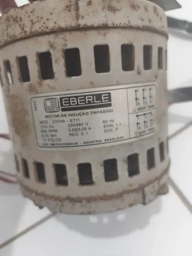 Motor de indução trifásico 1/15 CV