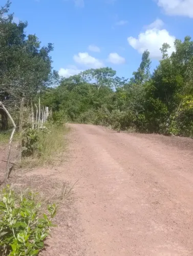 Vende-se terreno para fazer sua Chacrinha de 1000 m em mata de São João perto da pista 93