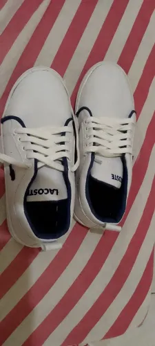 Tenis