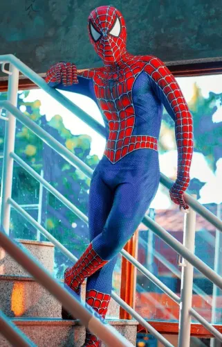 Fantasia homem aranha Tobey adulto