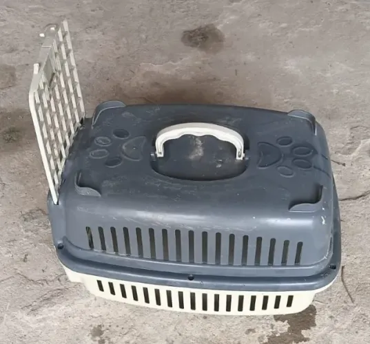 Caixa de Transporte Para Gatos (43 comp, 26 Larg, 27 Alt) e caixa de areia  R$15,00 TUDO