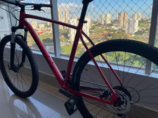 SPECIALIZED ROCKHOPPER ARO 29 - QUADRO XXL