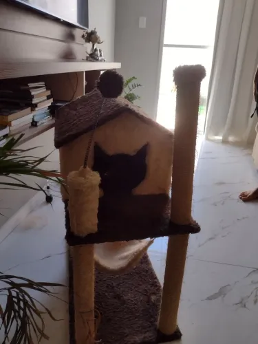 Casa de gato