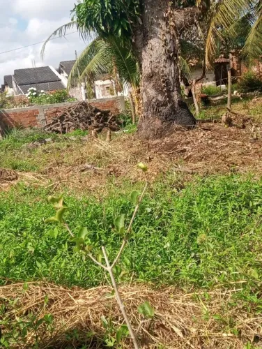 Terreno a venda