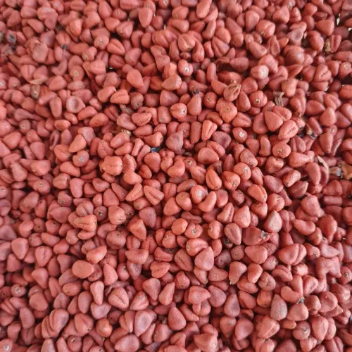 Vendo urucum produção 2026
