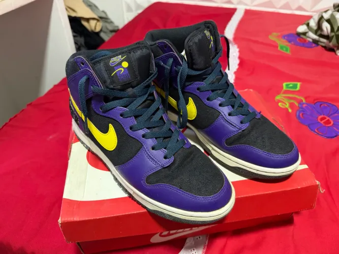 Dunk high 