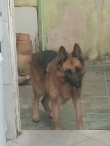 Para doação