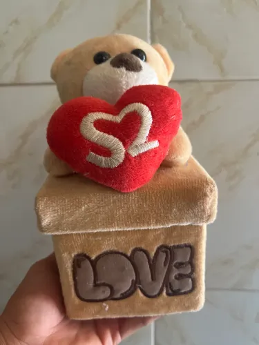 Caixa com chocolate pelúcia no love