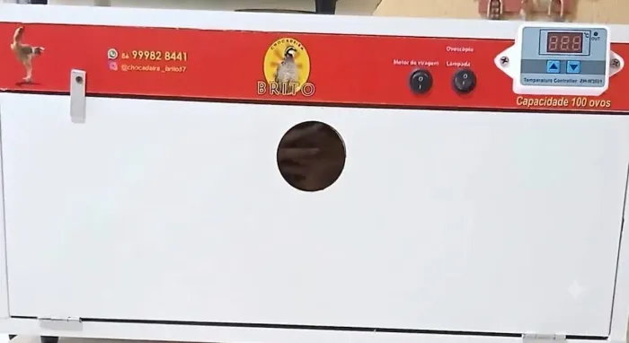 Chocadeira automática de 100 ovos