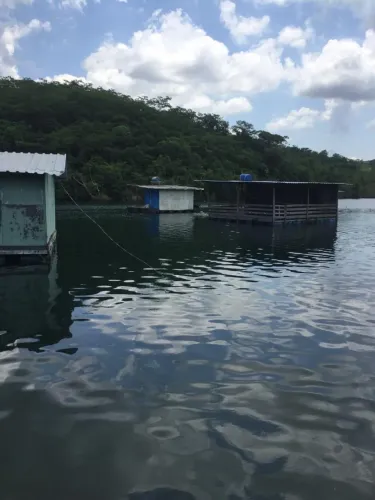 Tablado no Rio das Velhas