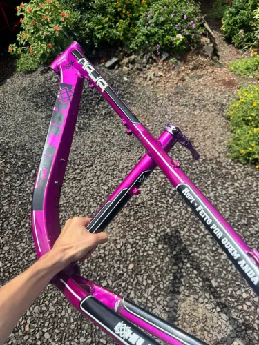 Quadro hupi naja 2019 roxa 