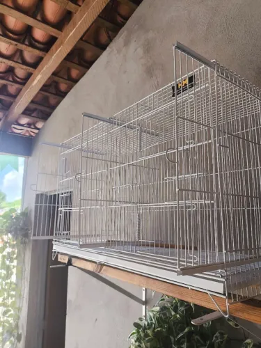 Gaiola para canario
