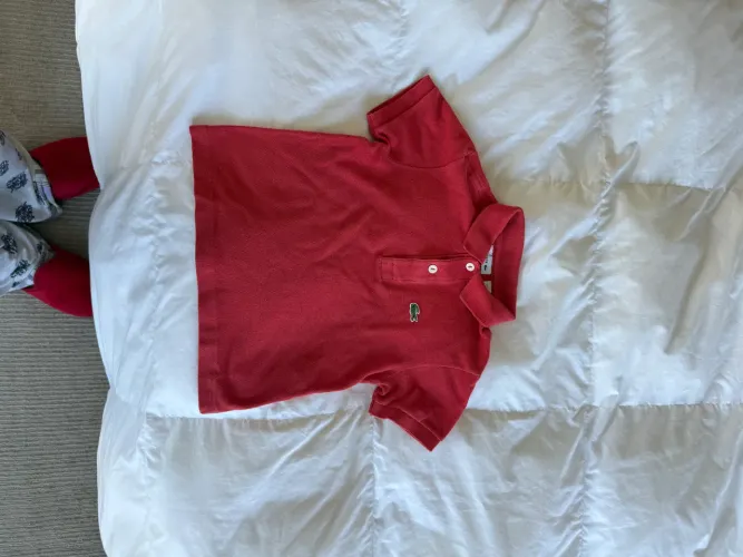 Roupa infantil blusa polo Lacoste 