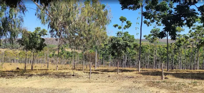 Imóvel para venda tem 20013 metros quadrados em Zona Rural - Cordisburgo - MG