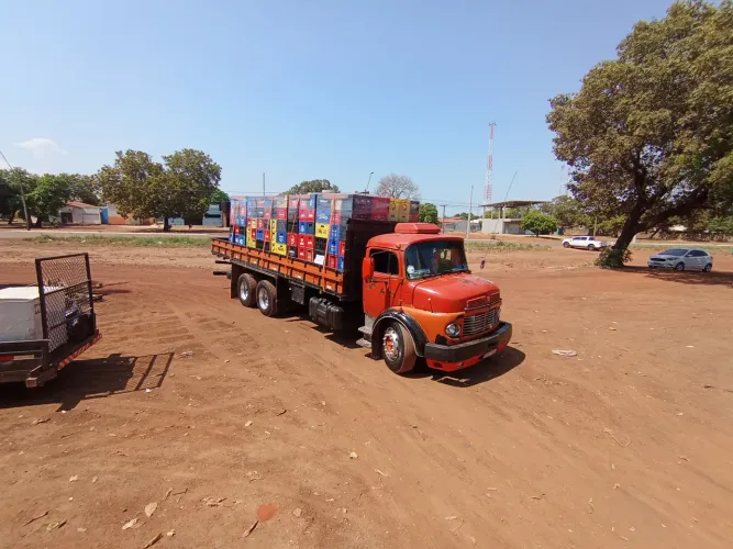 Caminhão 1113