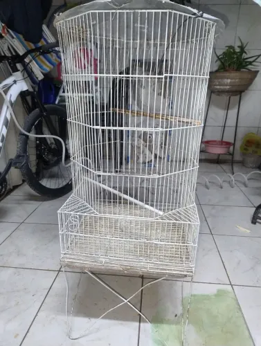 Gaiola de Passarinho