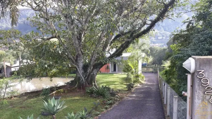 Sítio bairro São Roque, Feliz RS Ref.:993