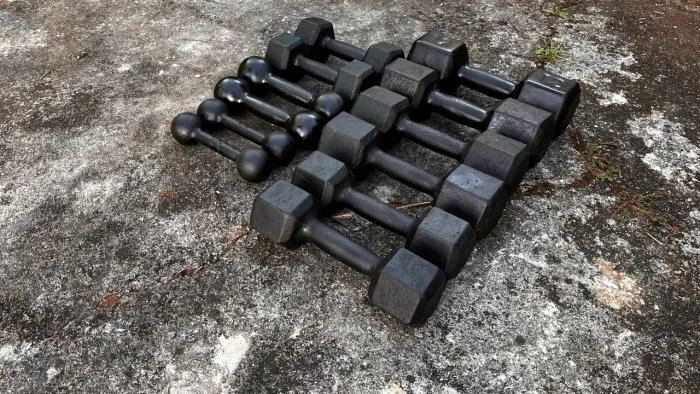 Conjunto de halteres de ferro fundido