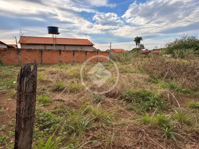 LOTE DE OPORTUNIDADE NO PQ IBIRAPUERA codigo: 390847
