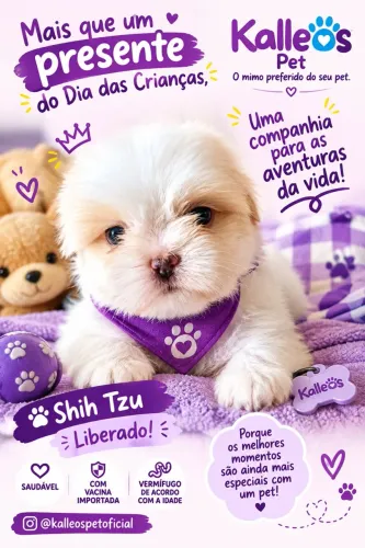 Potinho de Amor Shih Tzu