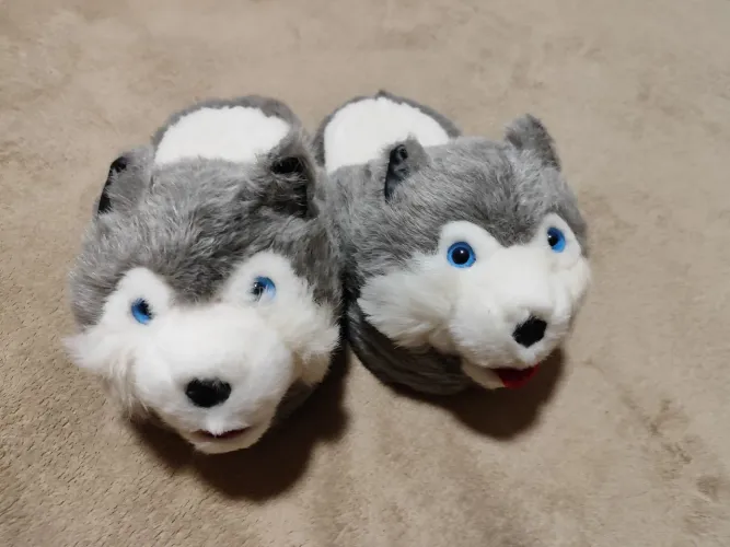 Pantufa husky