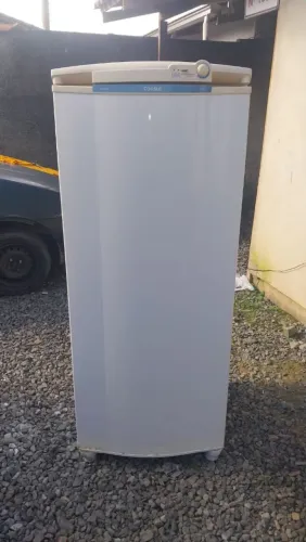 Freezer Vertical Consul