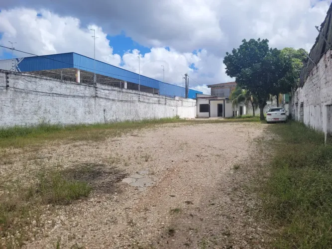 Lene Pegado Aluga Terreno de 14.00 x 55.00 na Av Dr. Freitas do lado do Supermercado Mateu