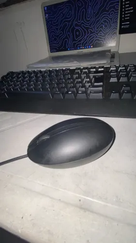 Mouse HP
