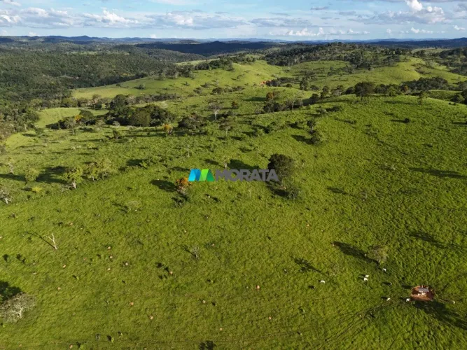 FAZENDA À VENDA - 365 HECTARES - SERRO (MG)