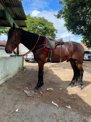 Vende-se