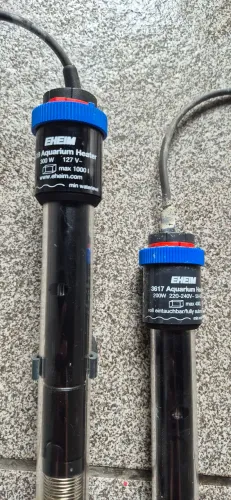 Termostato Ehein 300 Watts