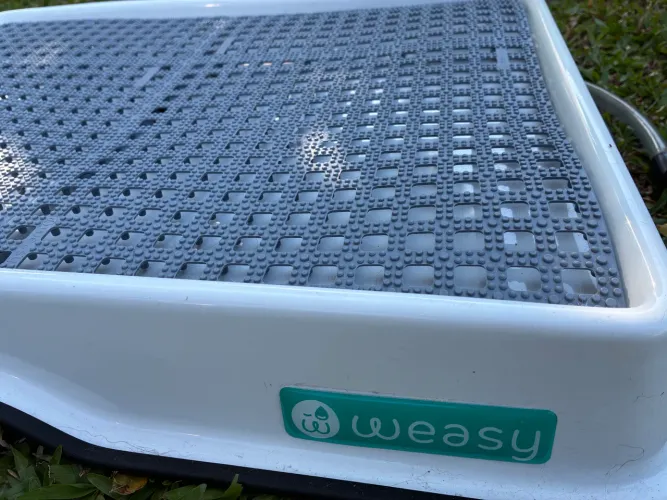 Weasy banho inteligente para pet