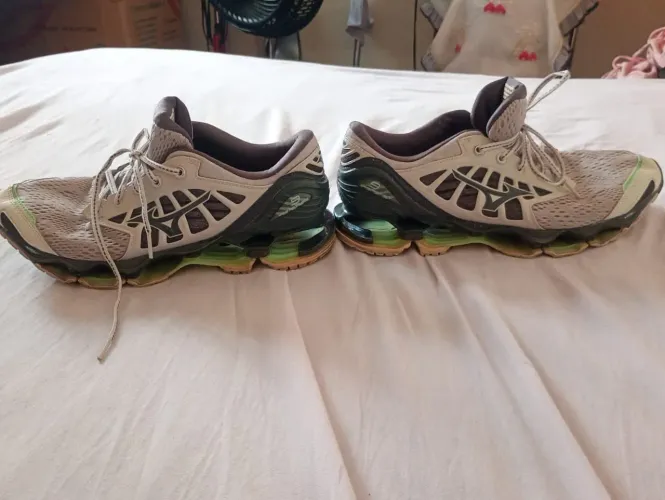 Mizuno wave prophecy 8