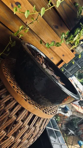 Vaso vietnamita