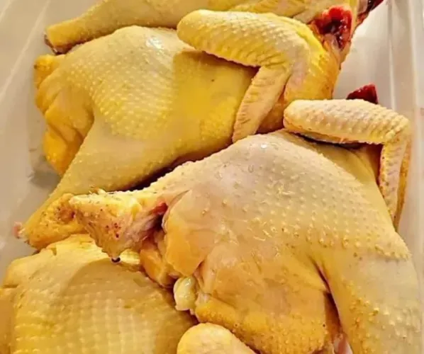 Galinha Caipira e Capotes