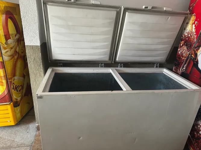 Freezer Electrolux