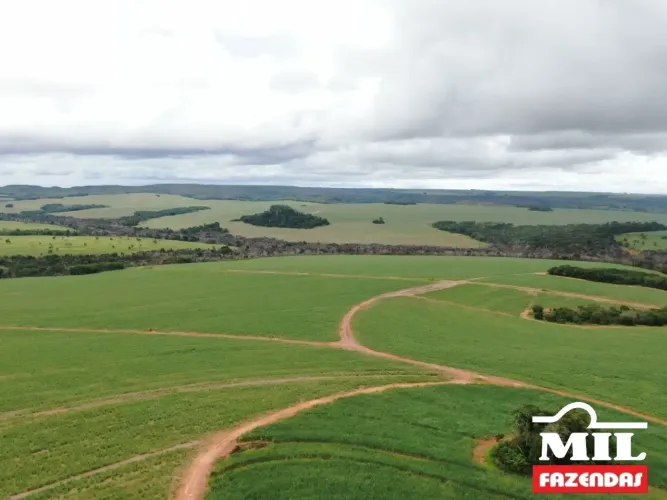 Fazenda em Mineiros-GO. (208 Alqueires)