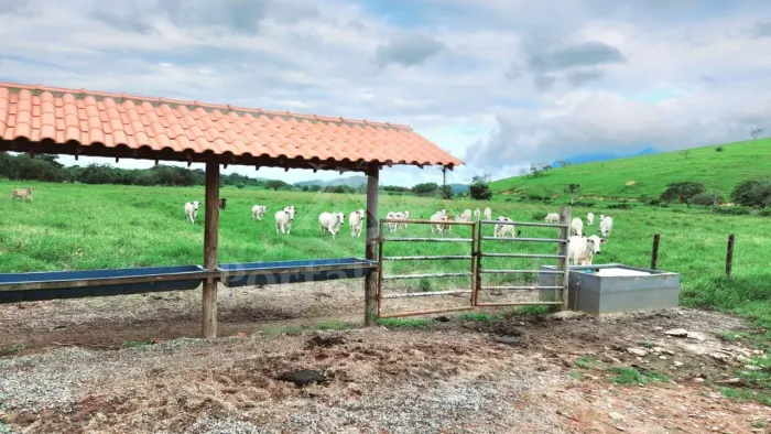 Fazenda para Venda em Casimiro de Abreu, Casemiro de Abreu, 3 dormitórios, 1 suíte, 2 banh