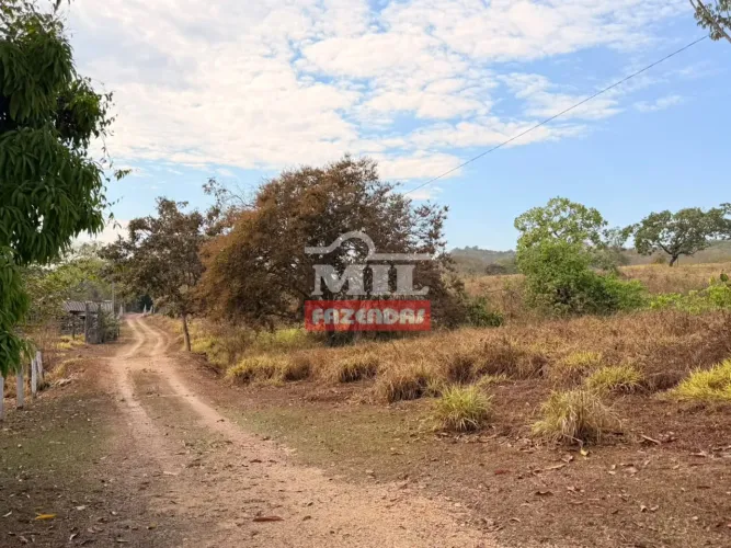 Fazenda 39 Alqueires (189 Hectares) Cocalzinho - GO