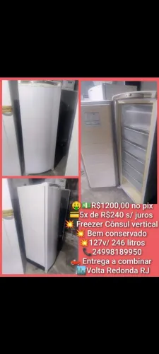 Freezer vertical