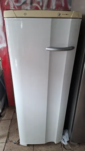 Frezer Electrolux degelo seco 