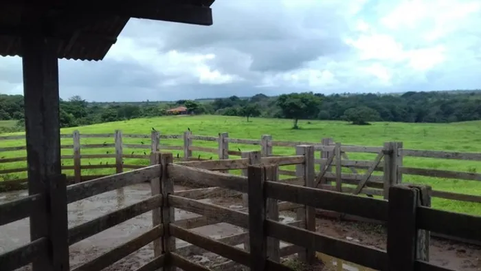 Fazenda 340 alqueires no Pará documentada por R$22 milhões