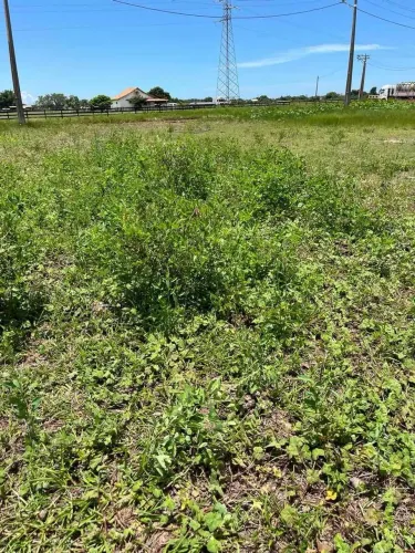 Terreno de 360m² à Venda no Condomínio Cidade Nova Cajueiro | Excelente Localização - São