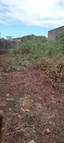 Terreno a 100 Metros da Av Durval Gos Monteiro 10X22,5