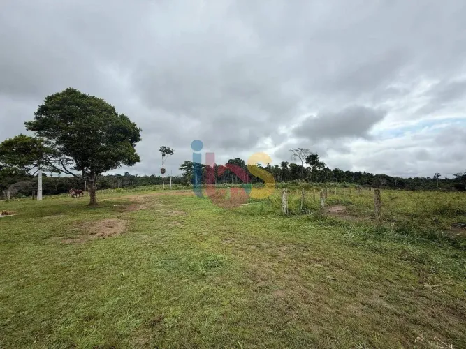 Vendo Fazenda