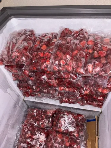 Frutas naturais e congeladas prontos pro uso